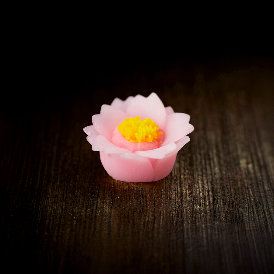 花乃いろ 秋桜